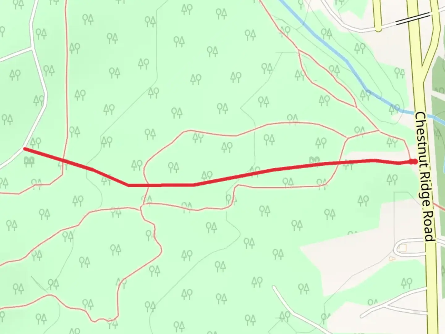 An image depicting the trail Chestnut Ridge Road Trail and its surrounding area.