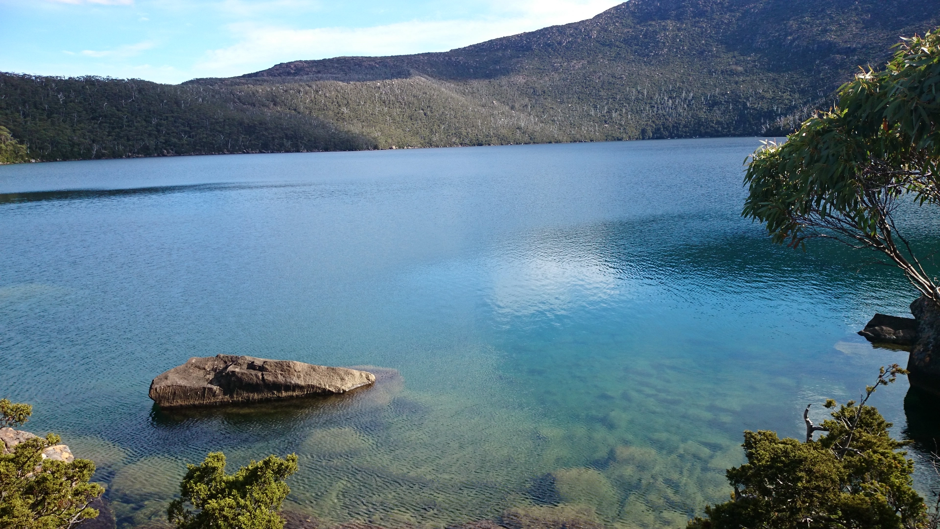 An image depicting the trail Lake Skinner South and its surrounding area.