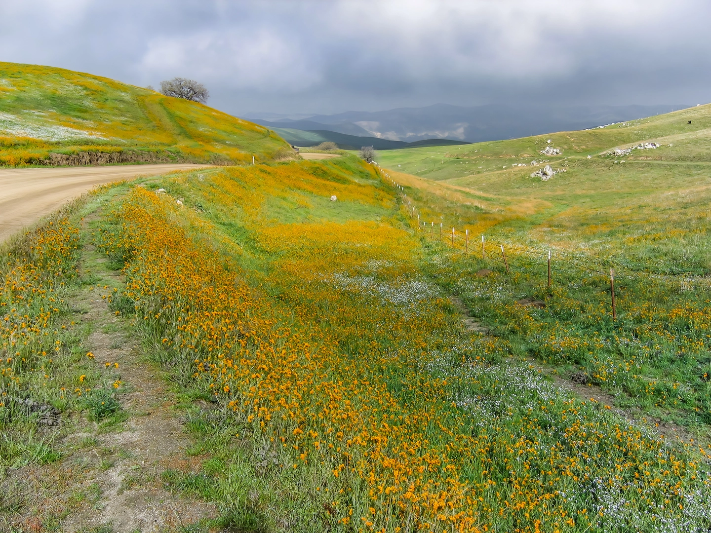 An image depicting the trail Rancheria Road Walk and its surrounding area.
