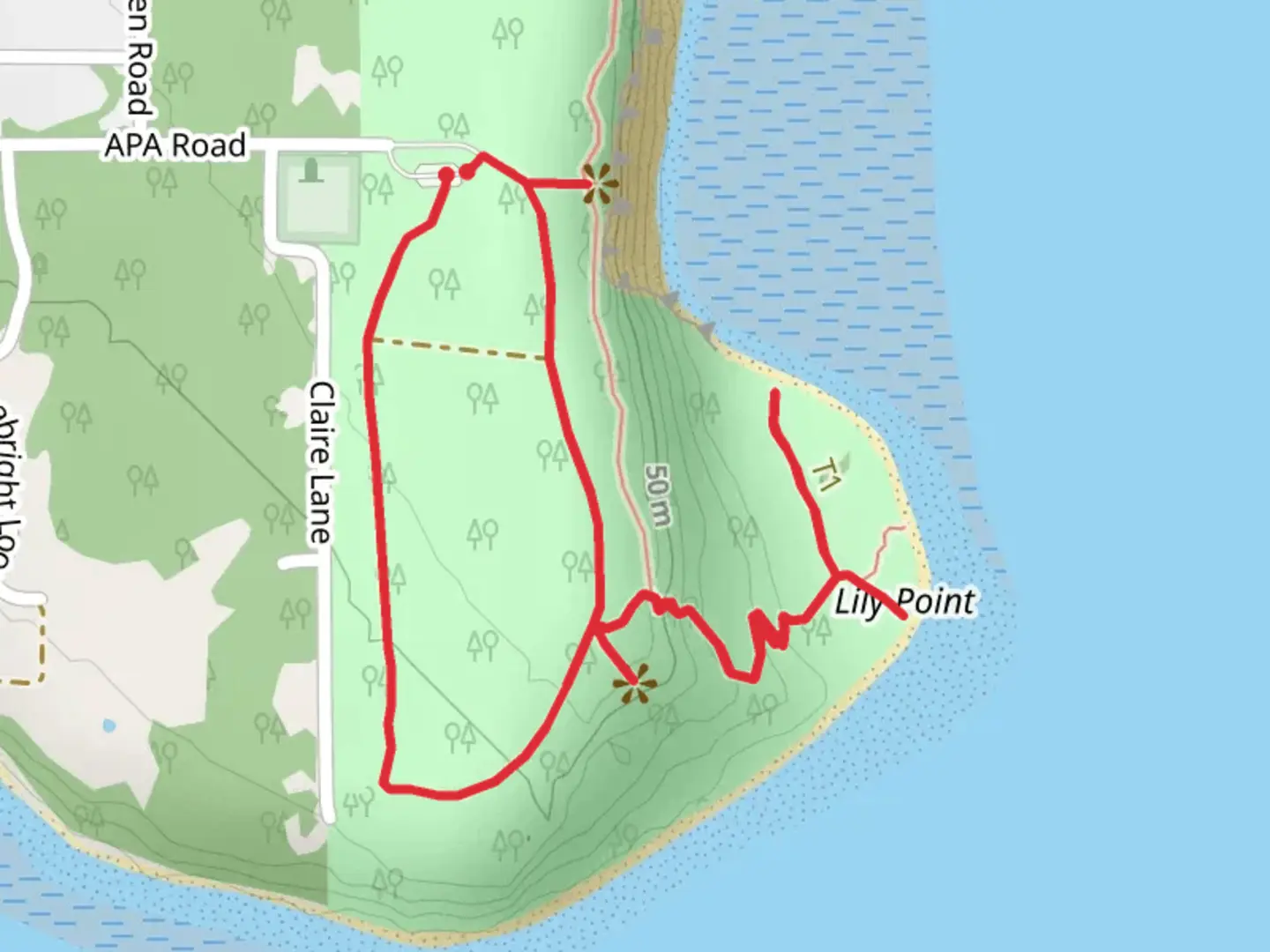 An image depicting the trail Beach Access Trail and Lily Point Beach Loop and its surrounding area.