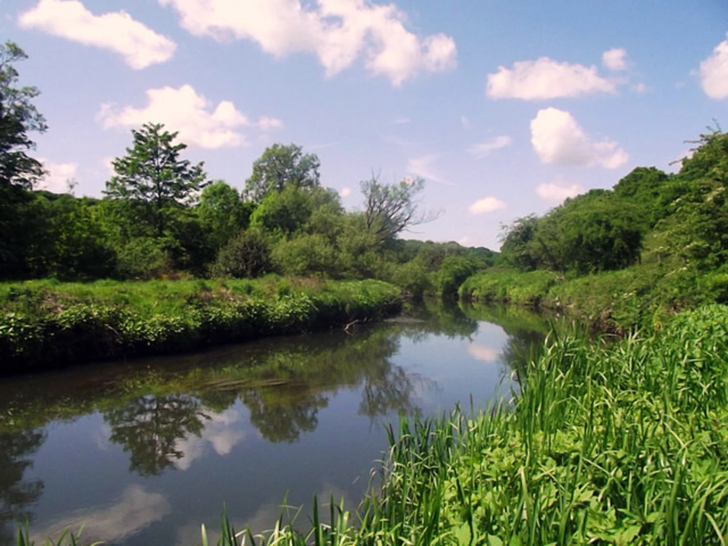 An image depicting the trail Ashurst's Beacon, Beacon Country Park and Bank Top Loop and its surrounding area.