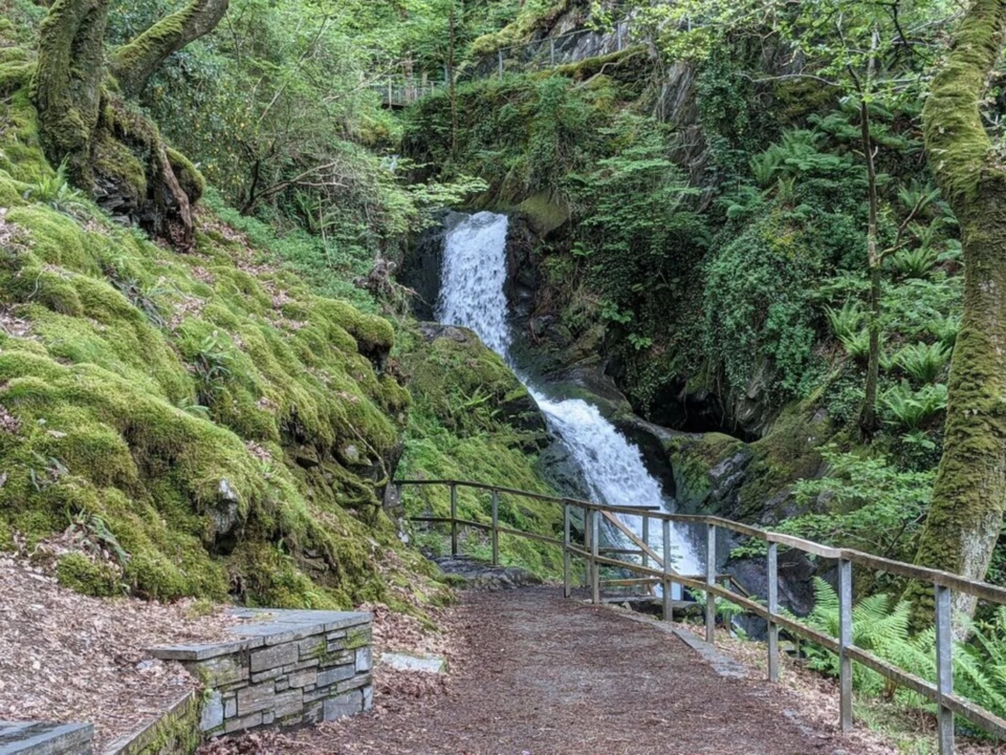 An image depicting the trail Dolgoch Falls Walk and its surrounding area.