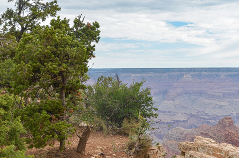 An image depicting the trail Clear Creek Trail via South Kaibab Trail and its surrounding area.