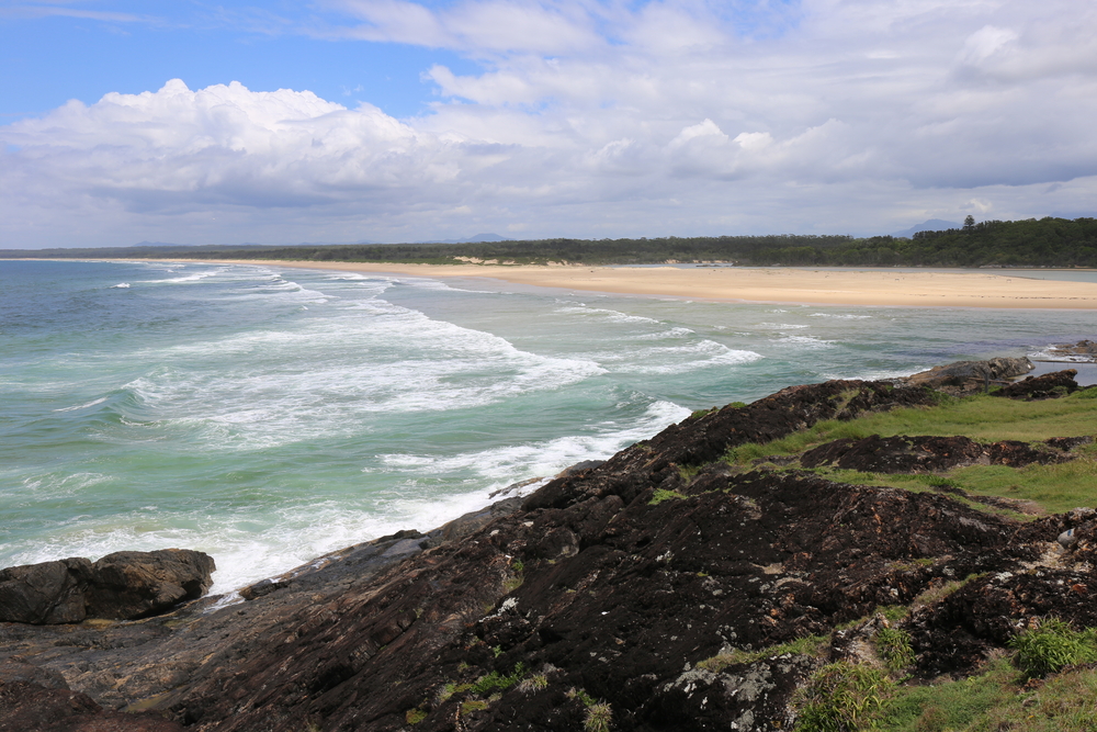 An image depicting the trail Bongil Bongil National Park and its surrounding area.