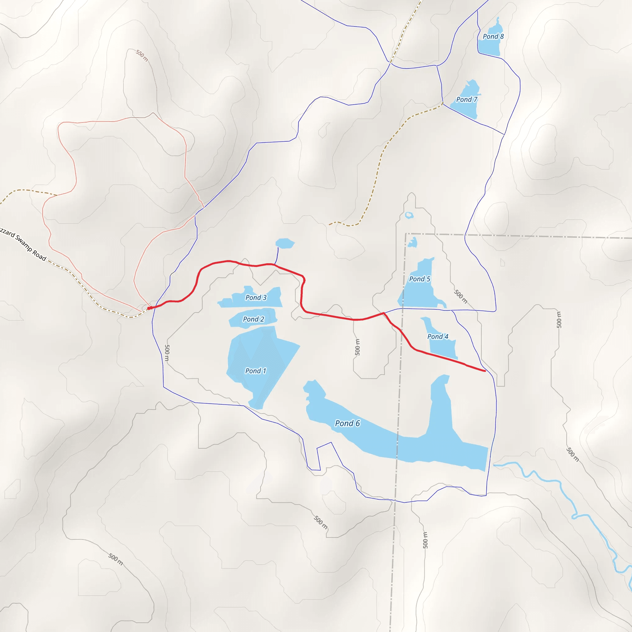 Goose Path via Buzzard Swamp Road Trail mobile static map