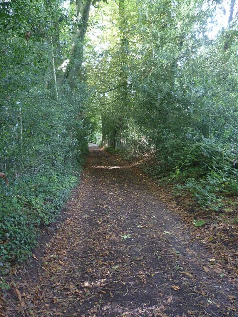 An image depicting the trail Trosley Country Park and River Medway and its surrounding area.