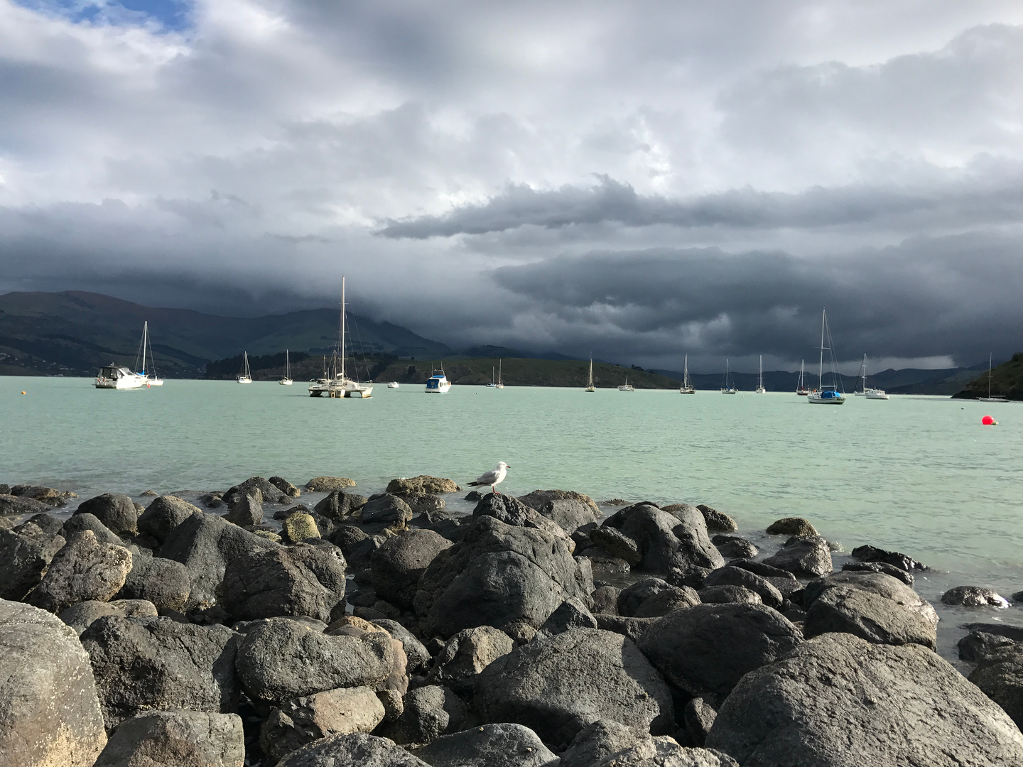 An image depicting the trail Coast Trail along Cass Bay and Corsair Bay and its surrounding area.