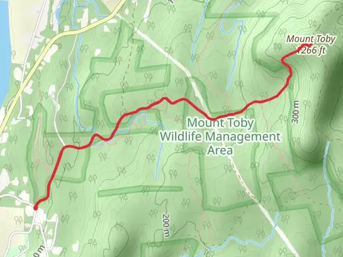 Mount Toby Trail
