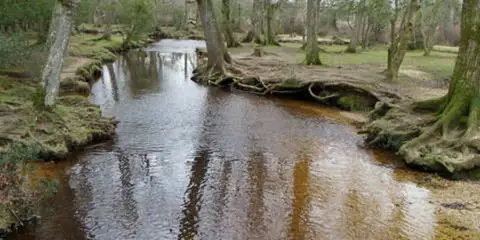 An image depicting the trail Brockenhurst - Black Knowl and Ober Water and its surrounding area.
