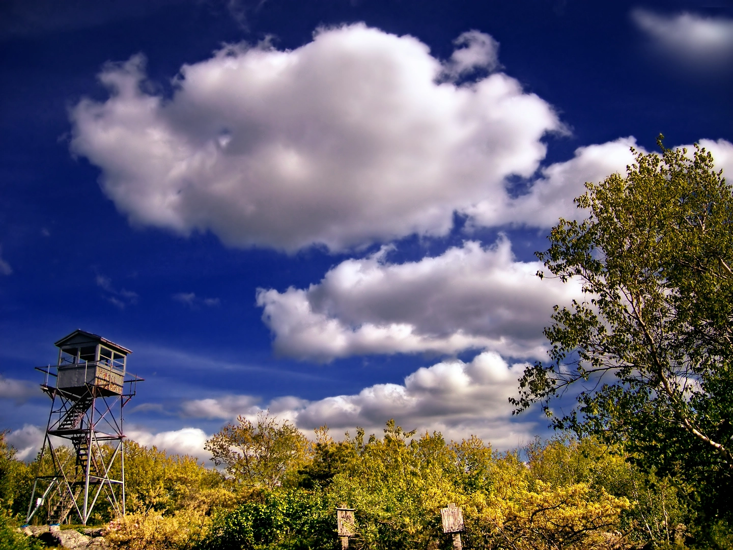 An image depicting the trail South Trail, Indian Trail and North Trail Loop and its surrounding area.