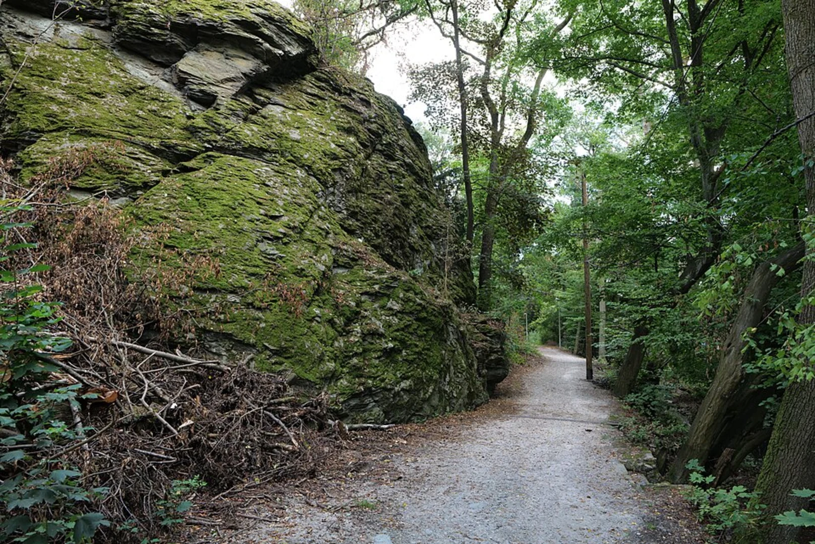 An image depicting the trail Kronberg to Hohemark via Taunusklub Route and its surrounding area.