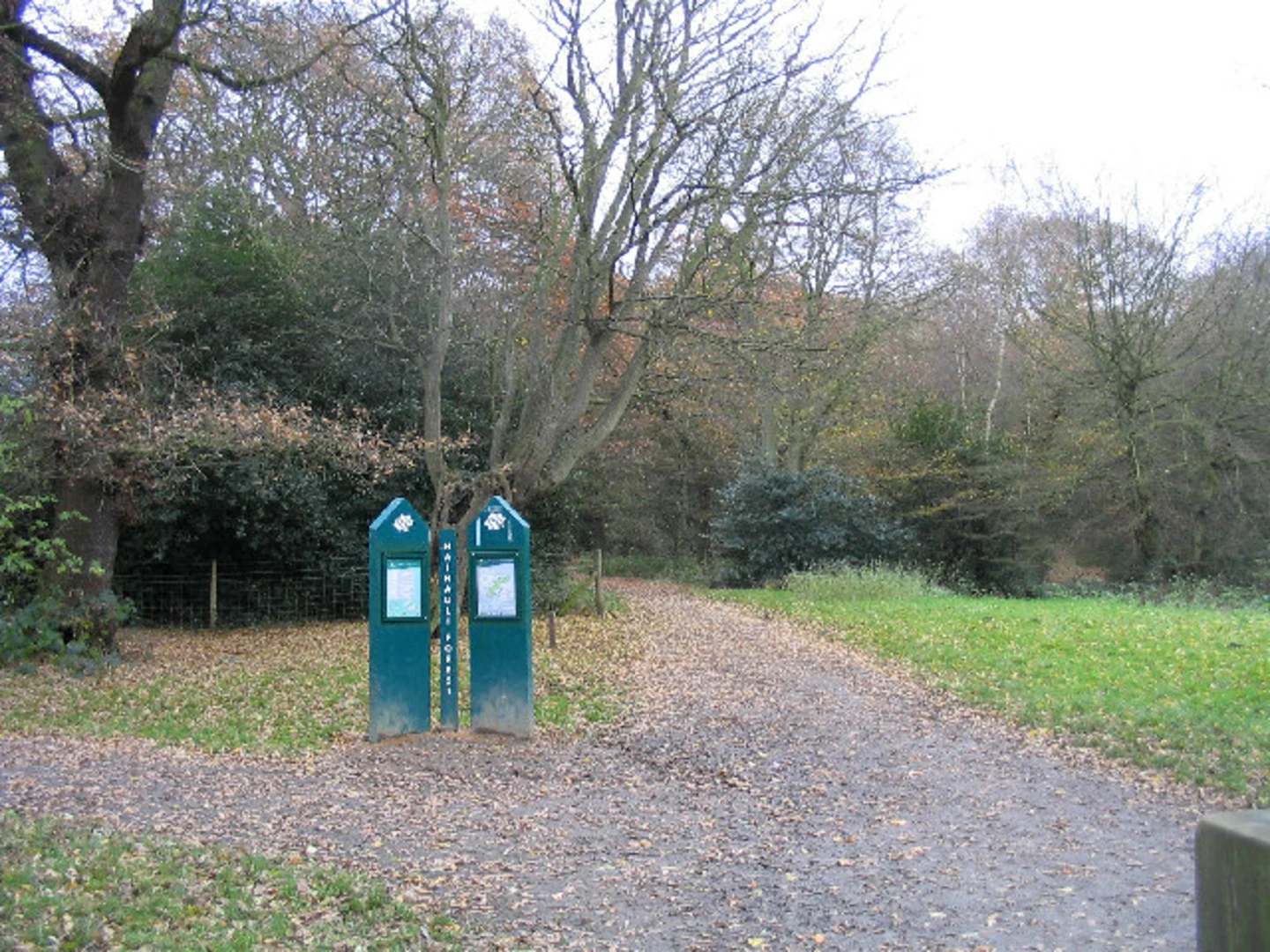 An image depicting the trail Boating Lake and Hainault Forest Loop and its surrounding area.