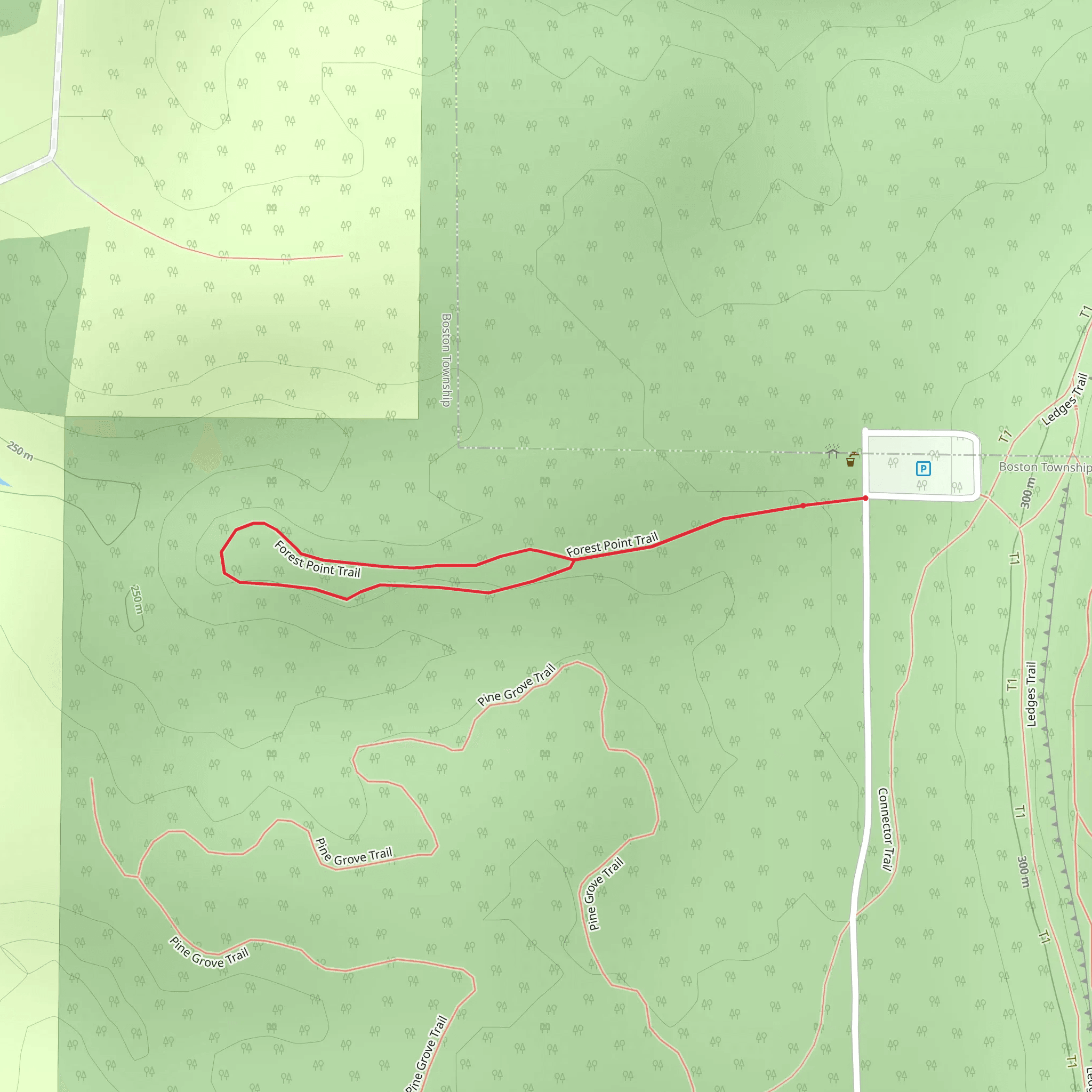 Forest Point Trail mobile static map