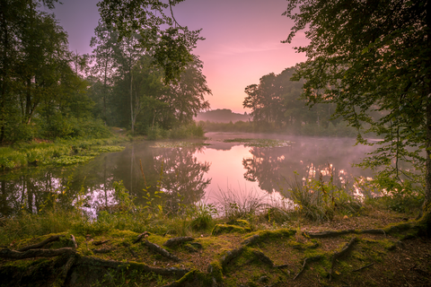 Uitzichttoren and Landgoed Springendal Loop