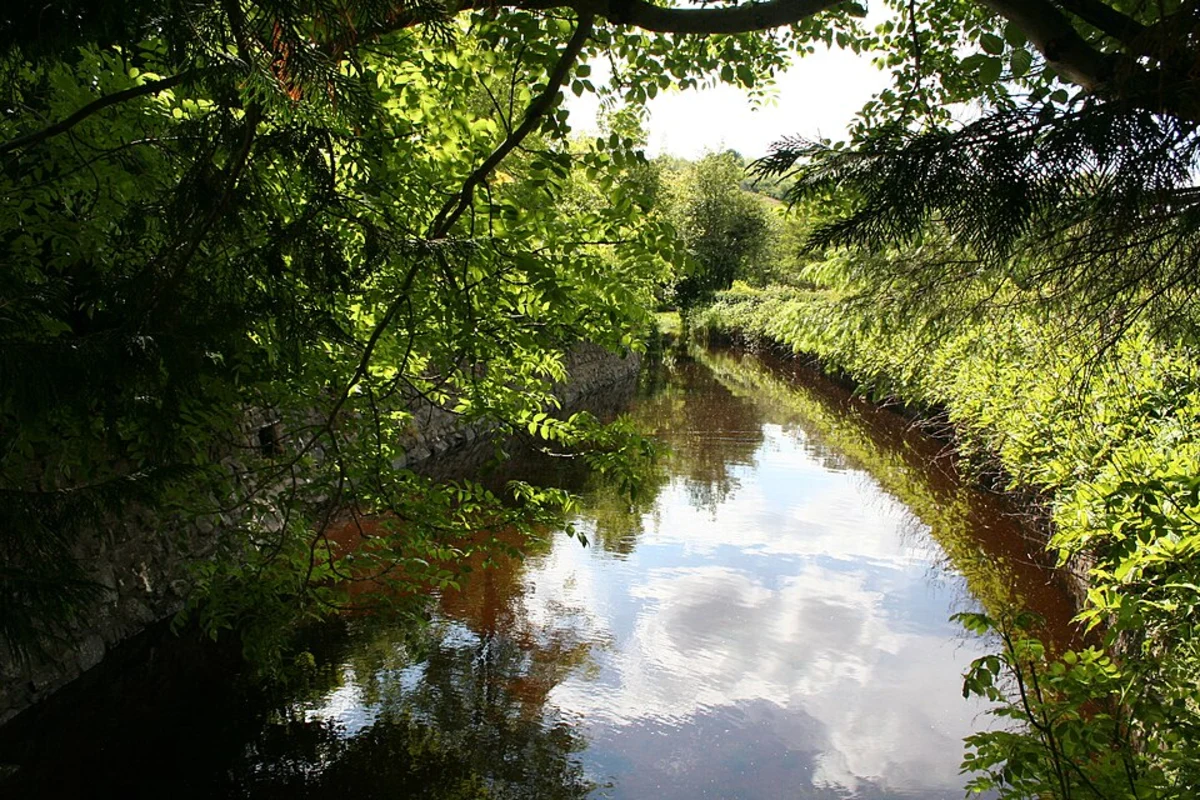 Mill Dam and Morley Plantation Loop