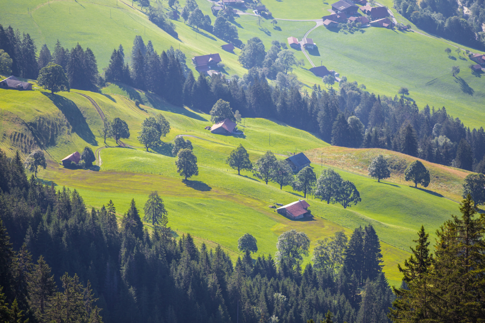 An image depicting the trail Leiternweide-Hängebrückenweg and its surrounding area.