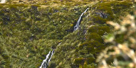 An image depicting the trail Carroll Hut Track and its surrounding area.