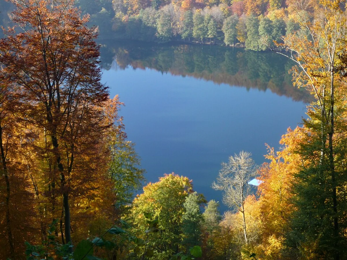 Three Lakes Loop - Schalkenmehrener Maar, Weinfelder Maar and Gemündener Maar