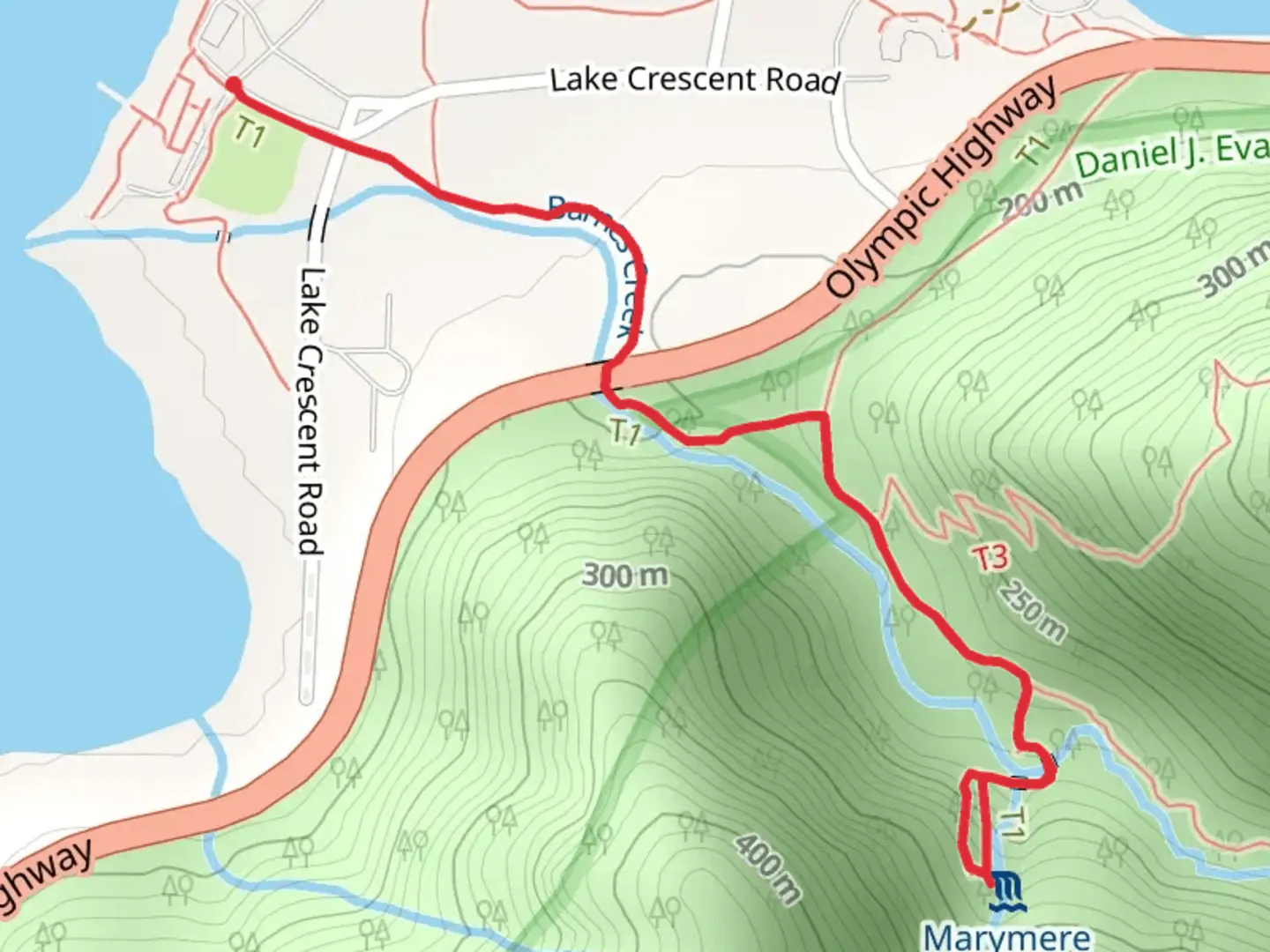 An image depicting the trail Marymere Falls Nature Trail and its surrounding area.