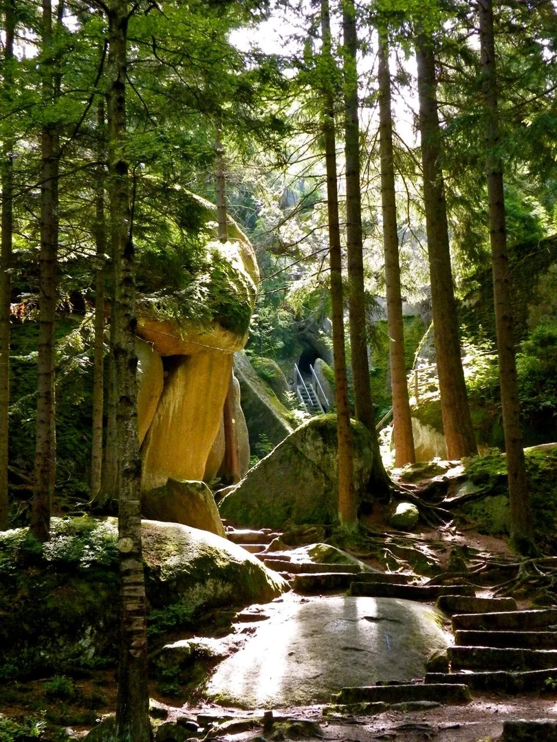 An image depicting the trail Reines Quellwasser via Luisenburgallee and its surrounding area.