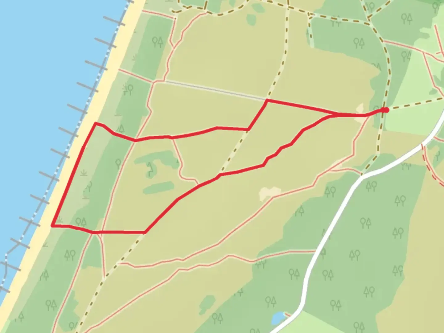 An image depicting the trail Hassenort Loop and its surrounding area.