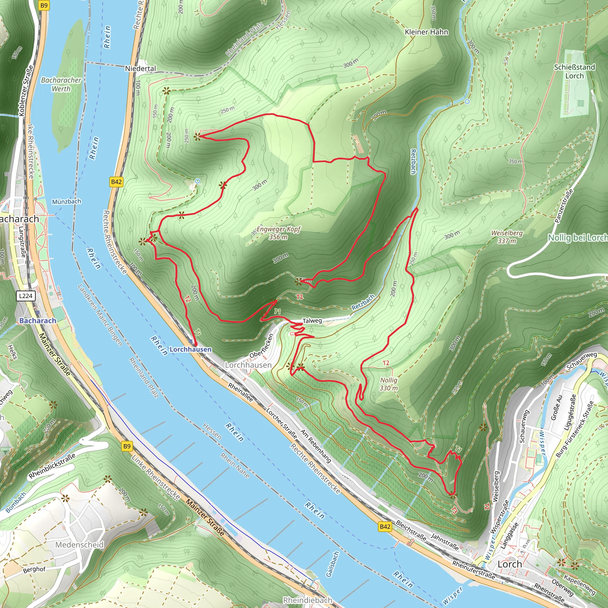 Ruine Nollig, Rhein Wisper Blick and Lehnhardt Blick Loop via Rheingauer Rieslingpfad mobile static map