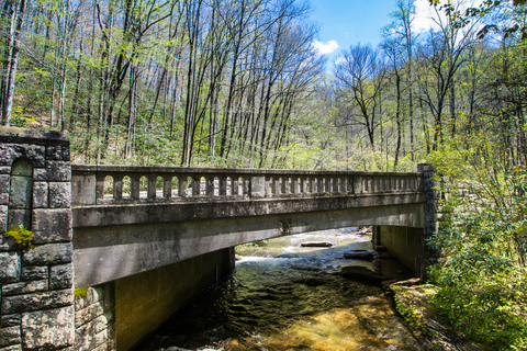 An image depicting the trail Moore Cove Trail and its surrounding area.