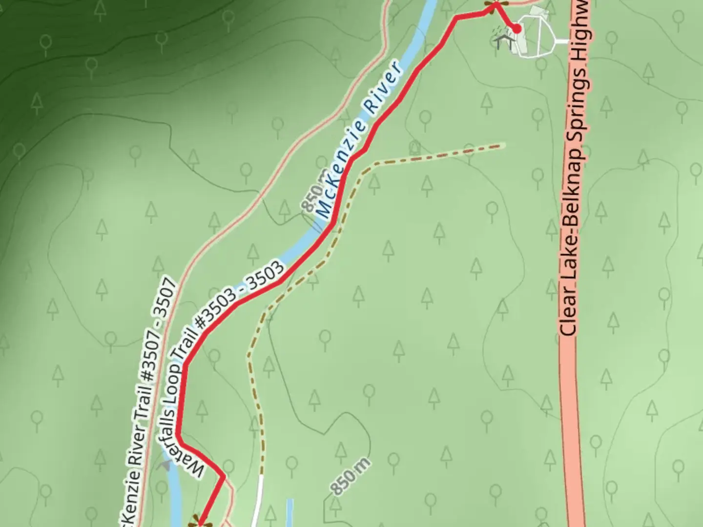 An image depicting the trail McKenzie River via Waterfalls Loop Trail and its surrounding area.