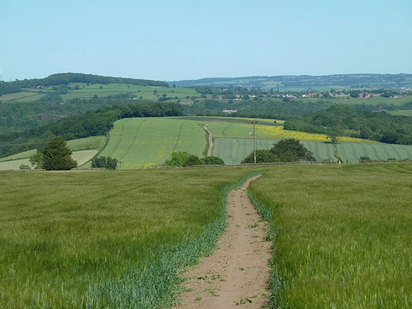 An image depicting the trail Bole Hill, Bamford Moor and Moscar Moor Loop and its surrounding area.