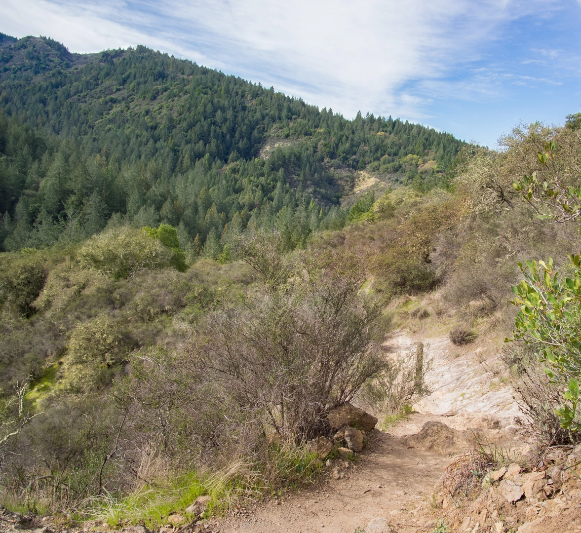 An image depicting the trail Coyote Peak Loop Trail and its surrounding area.