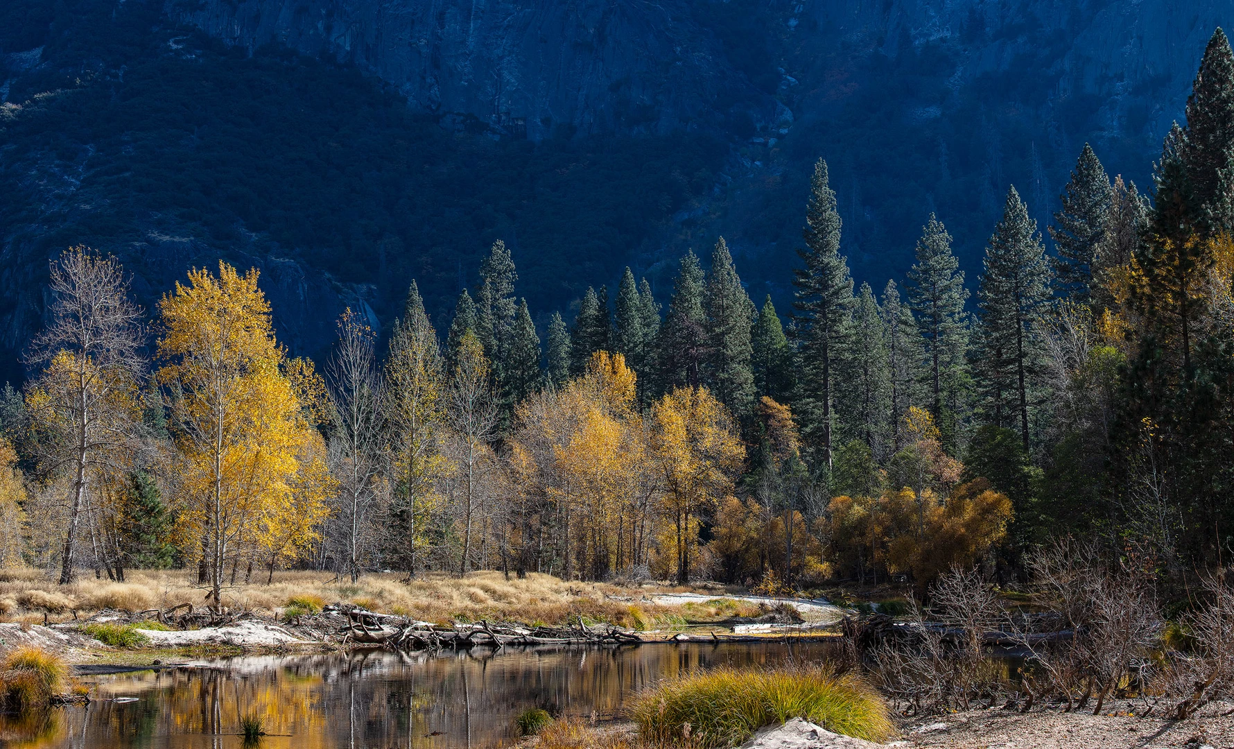 An image depicting the trail Merced River via Bull Creek Road Walk and its surrounding area.