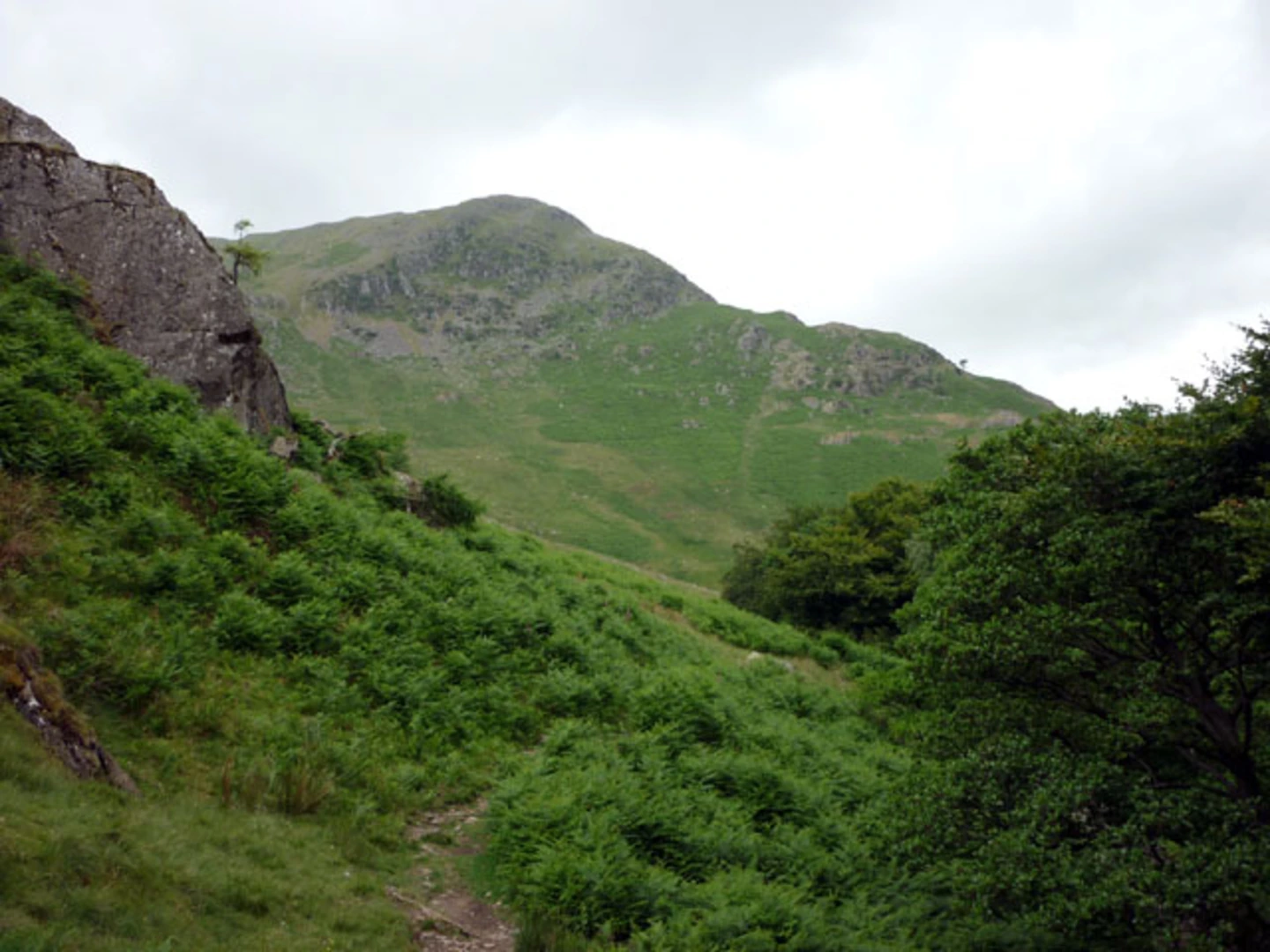 An image depicting the trail Red Tarn, Striding Edge and Little Cove Walk and its surrounding area.