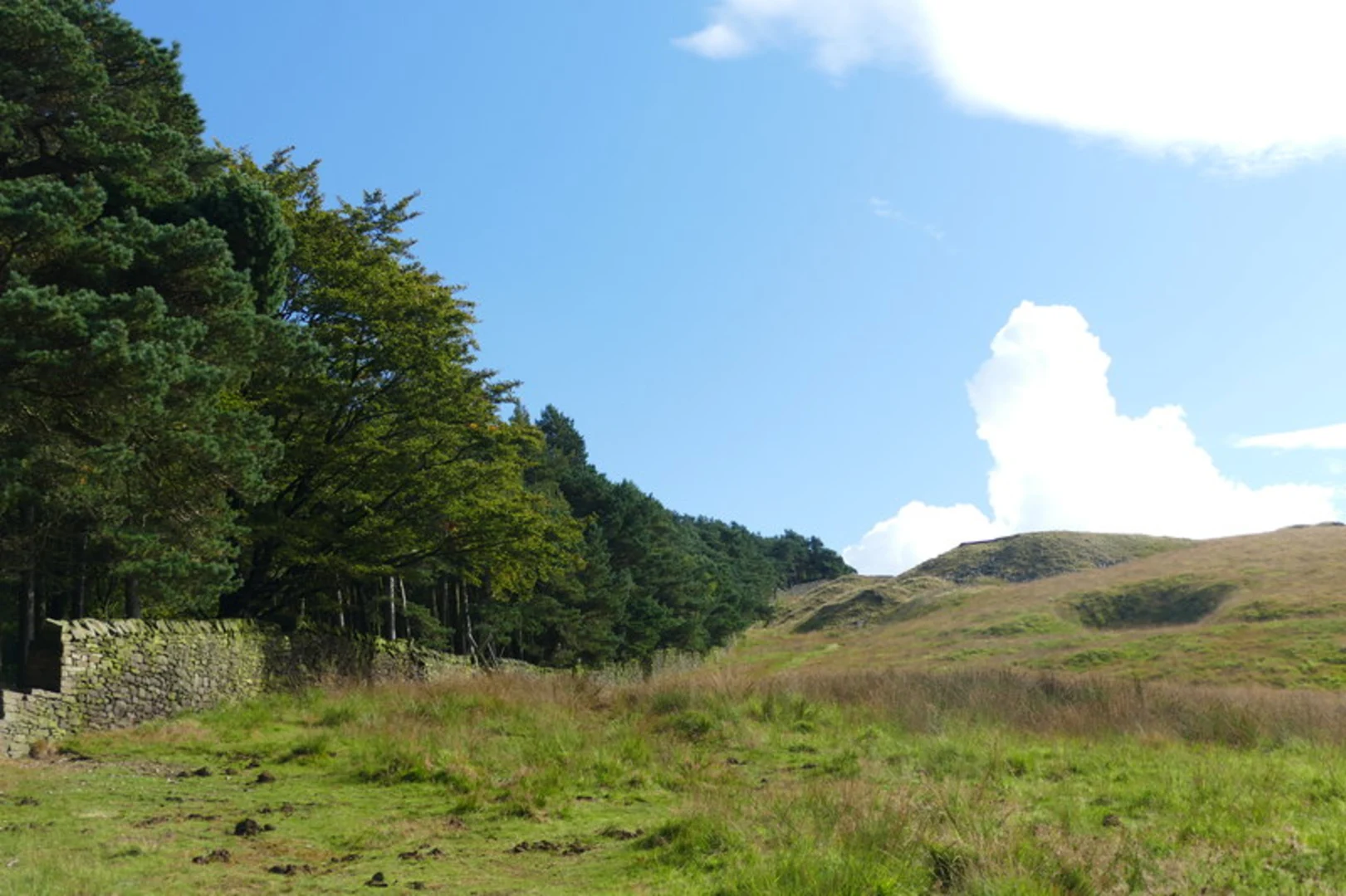 An image depicting the trail Lyme Park, Stanleyhall Wood and Macclesfield Canal Walk and its surrounding area.