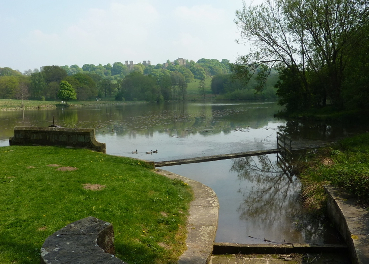 An image depicting the trail Millers Pond and Park Piece Loop and its surrounding area.