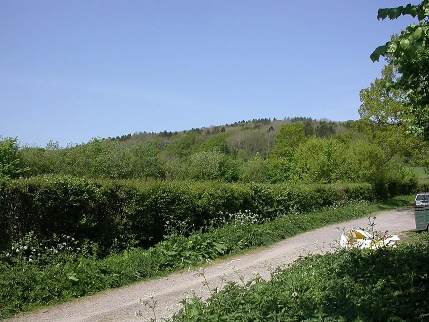 An image depicting the trail Duncliffe Wood Loop and its surrounding area.