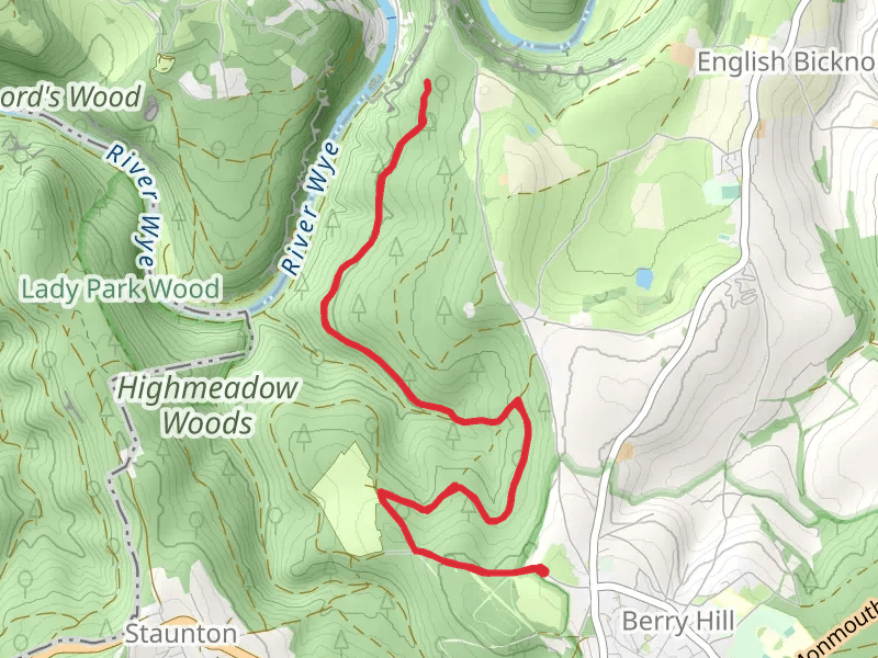 Maliscot Wood Walk - Christchurch