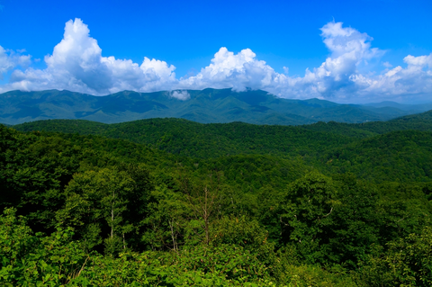 An image depicting the trail Newberry Creek Trail and its surrounding area.