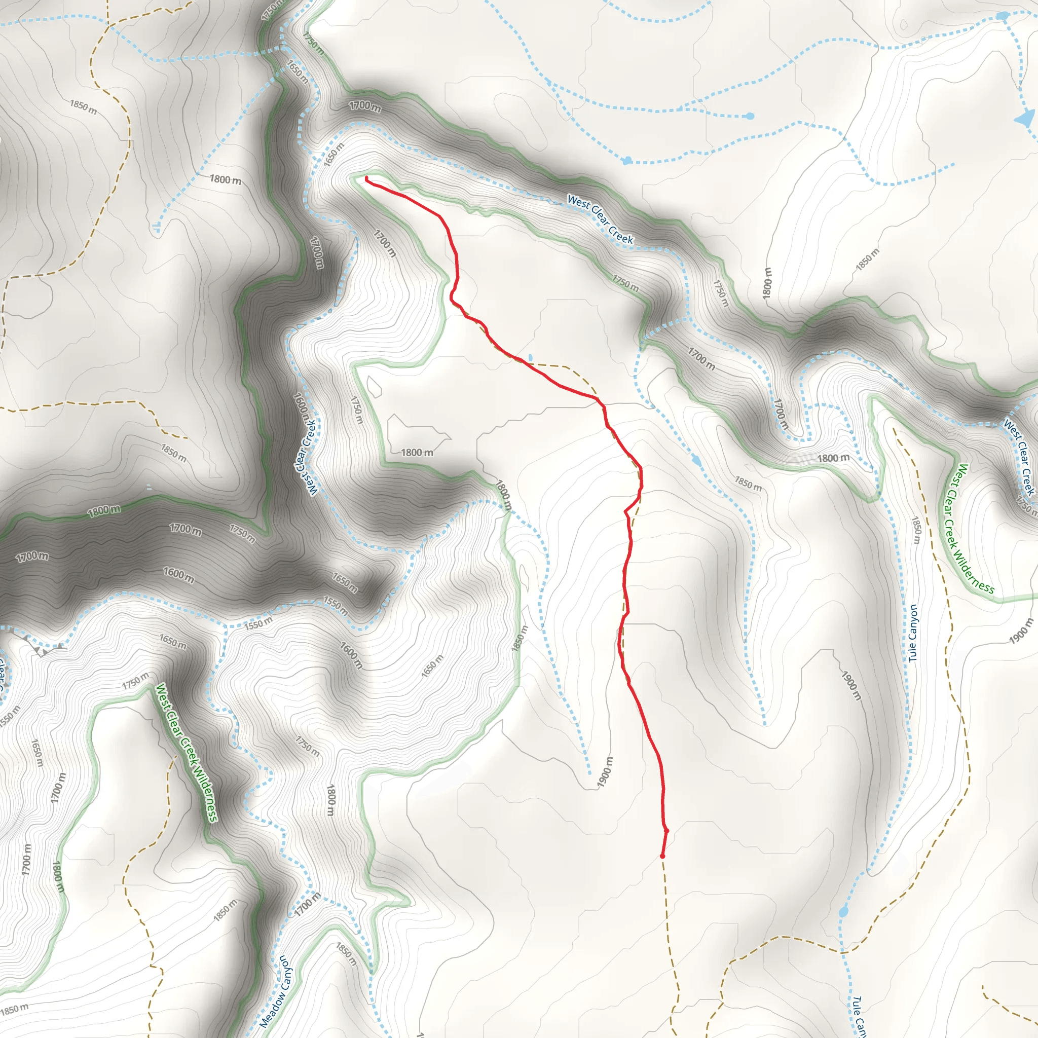 Cash Trail mobile static map