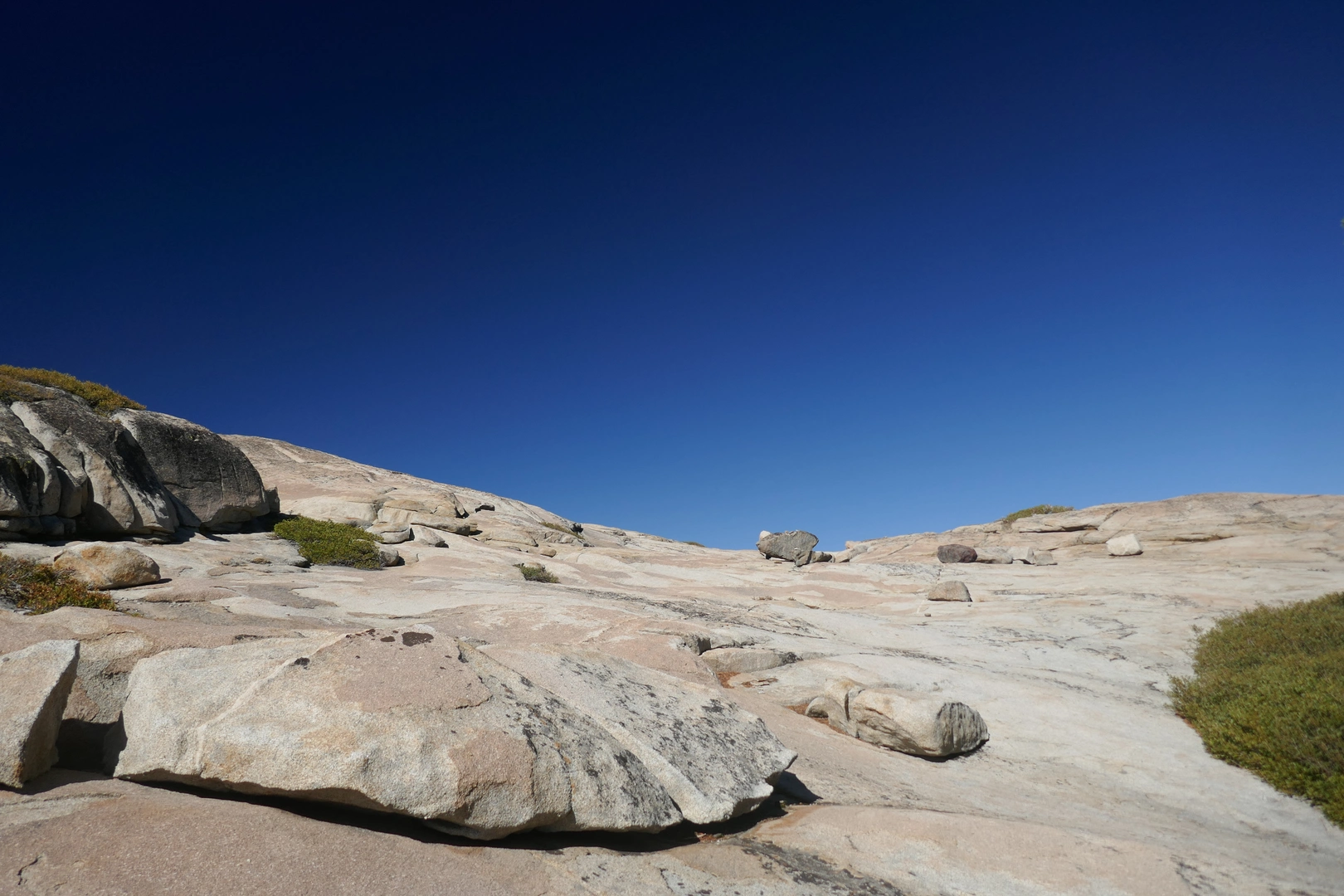 An image depicting the trail Shealor Lake Trail - Ridge Camp and its surrounding area.