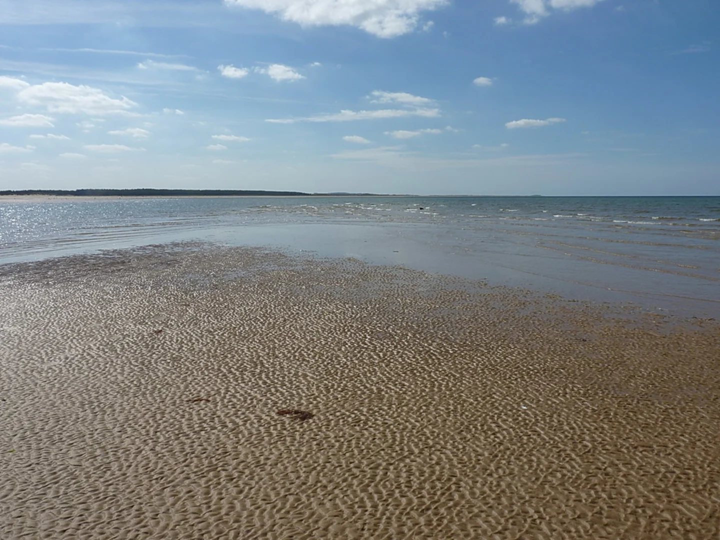 An image depicting the trail Wells Harbour and Holkham Naturist Beach Loop and its surrounding area.