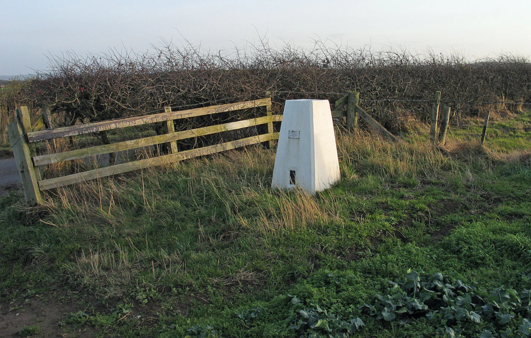 An image depicting the trail Middle Redford Western Loop and its surrounding area.