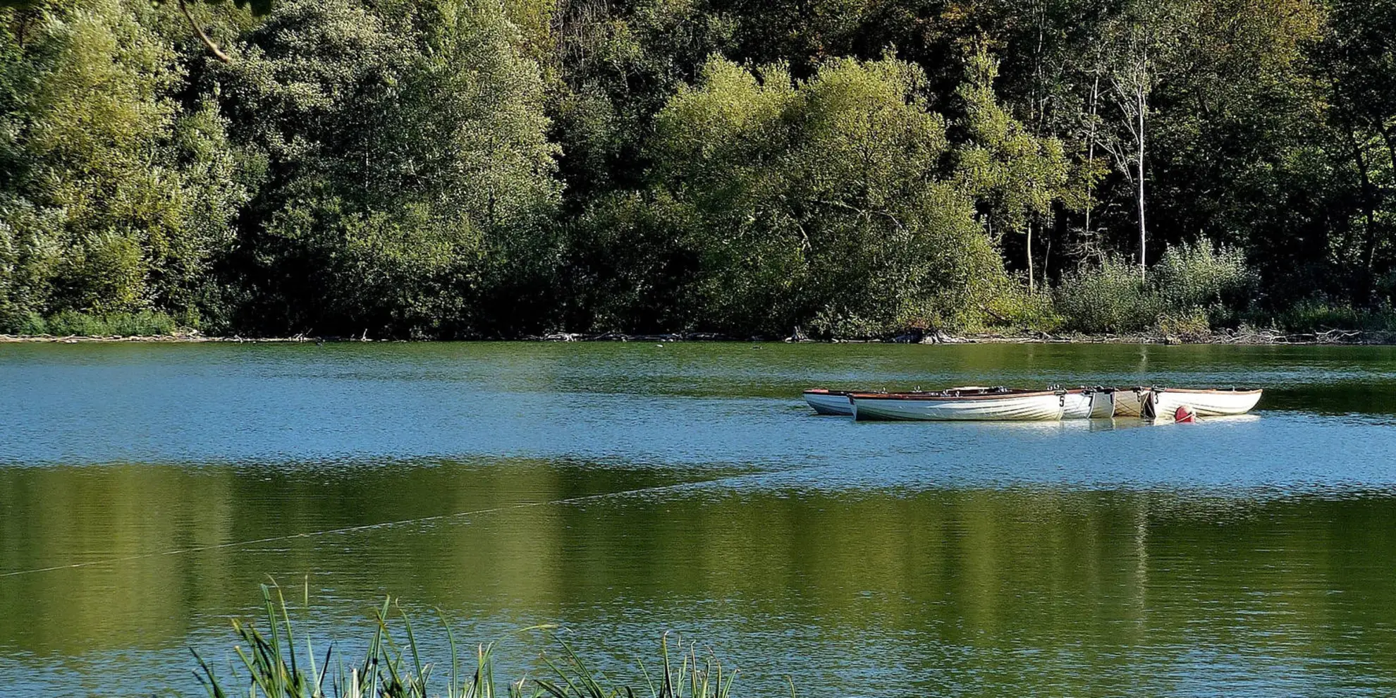 An image depicting the trail Harcamlow Way and its surrounding area.