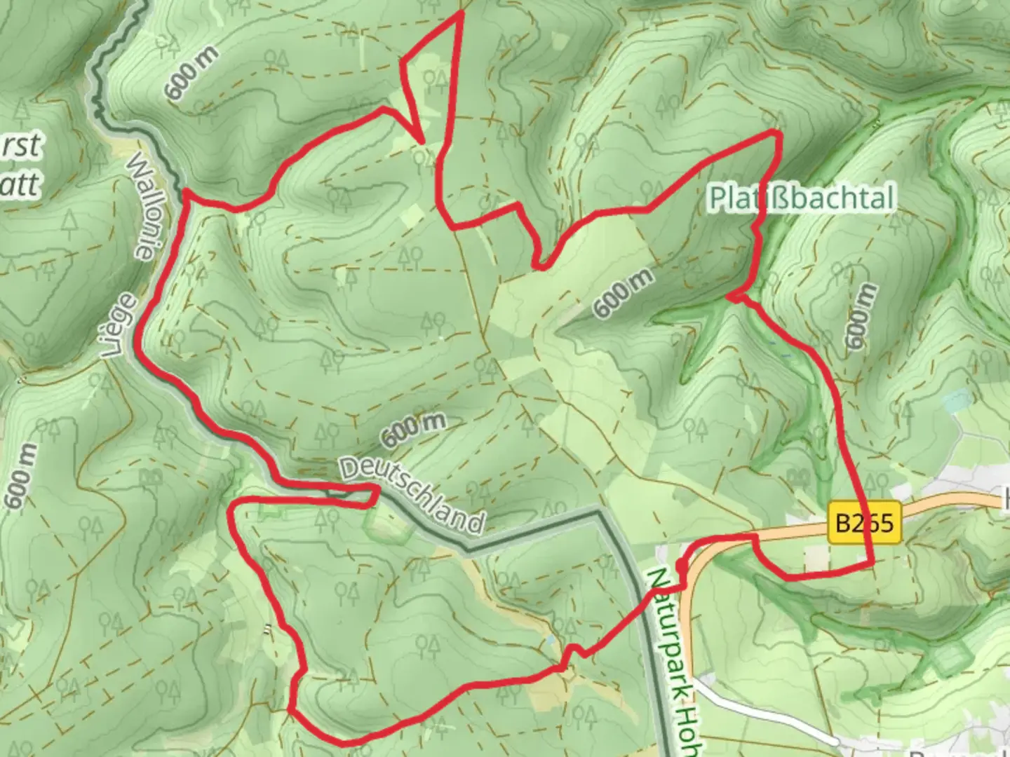 An image depicting the trail Hollerath Loop and its surrounding area.