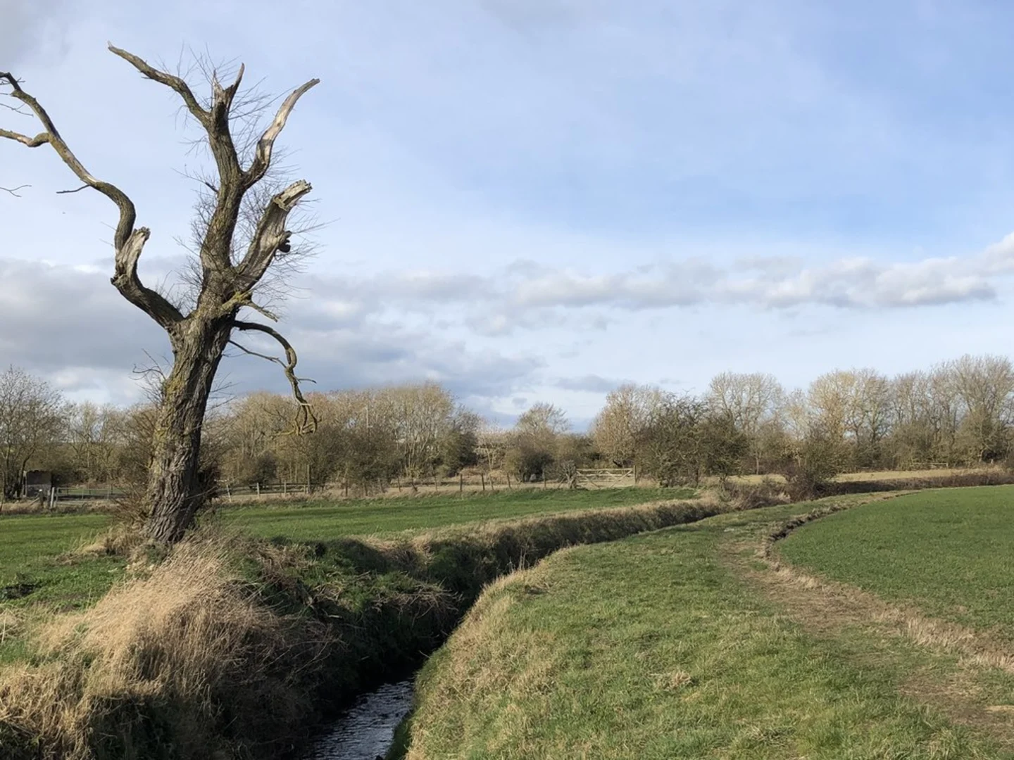 An image depicting the trail Kelloe Way and Crowtrees Local Nature Reserve and its surrounding area.
