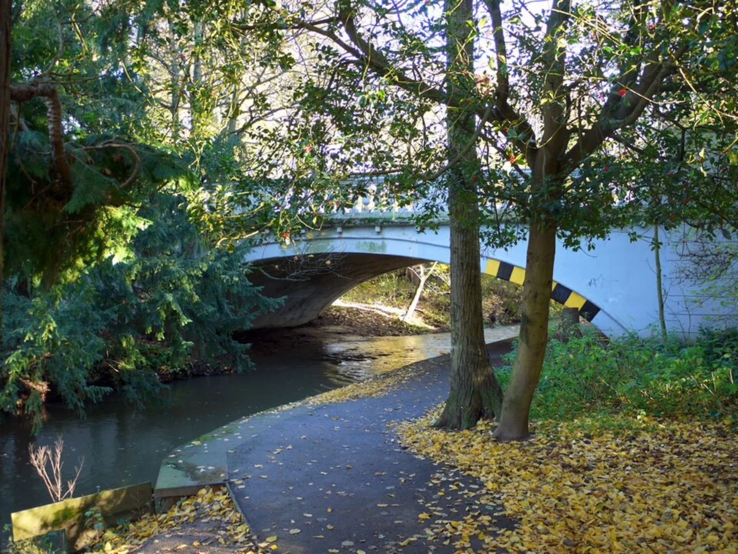 An image depicting the trail Ponteland Park Loop and its surrounding area.