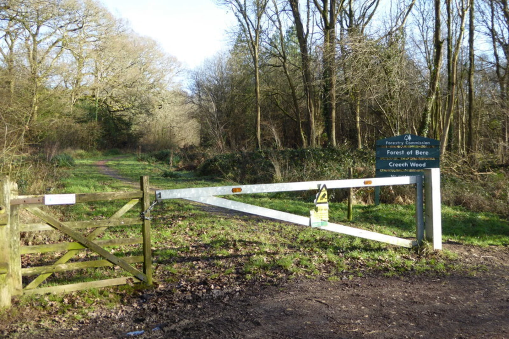 An image depicting the trail Forest of Bere and its surrounding area.