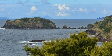 An image depicting the trail Tutukaka Head Track and its surrounding area.