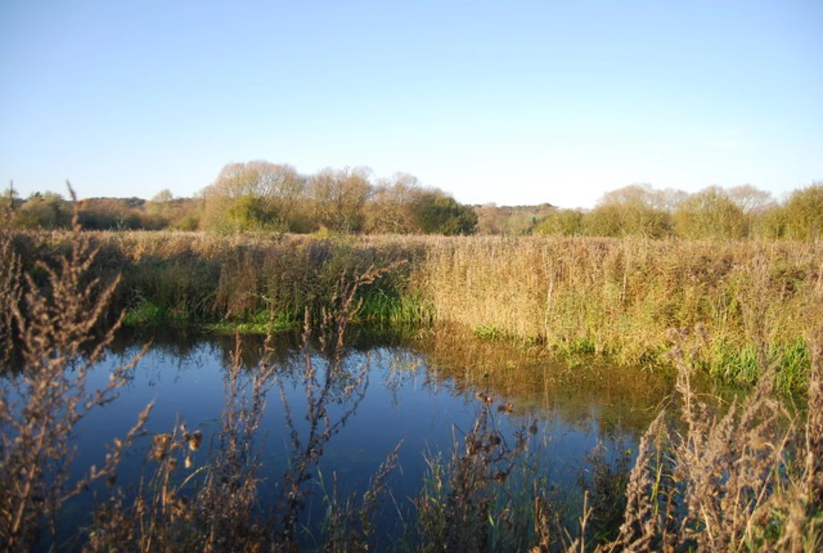An image depicting the trail Westbere Marshes and Sandpit Wood Loop from Canterbury and its surrounding area.