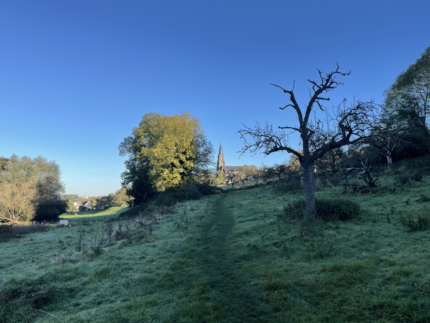 An image depicting the trail Termoere, Terbruggen and A jen Leng Loop and its surrounding area.