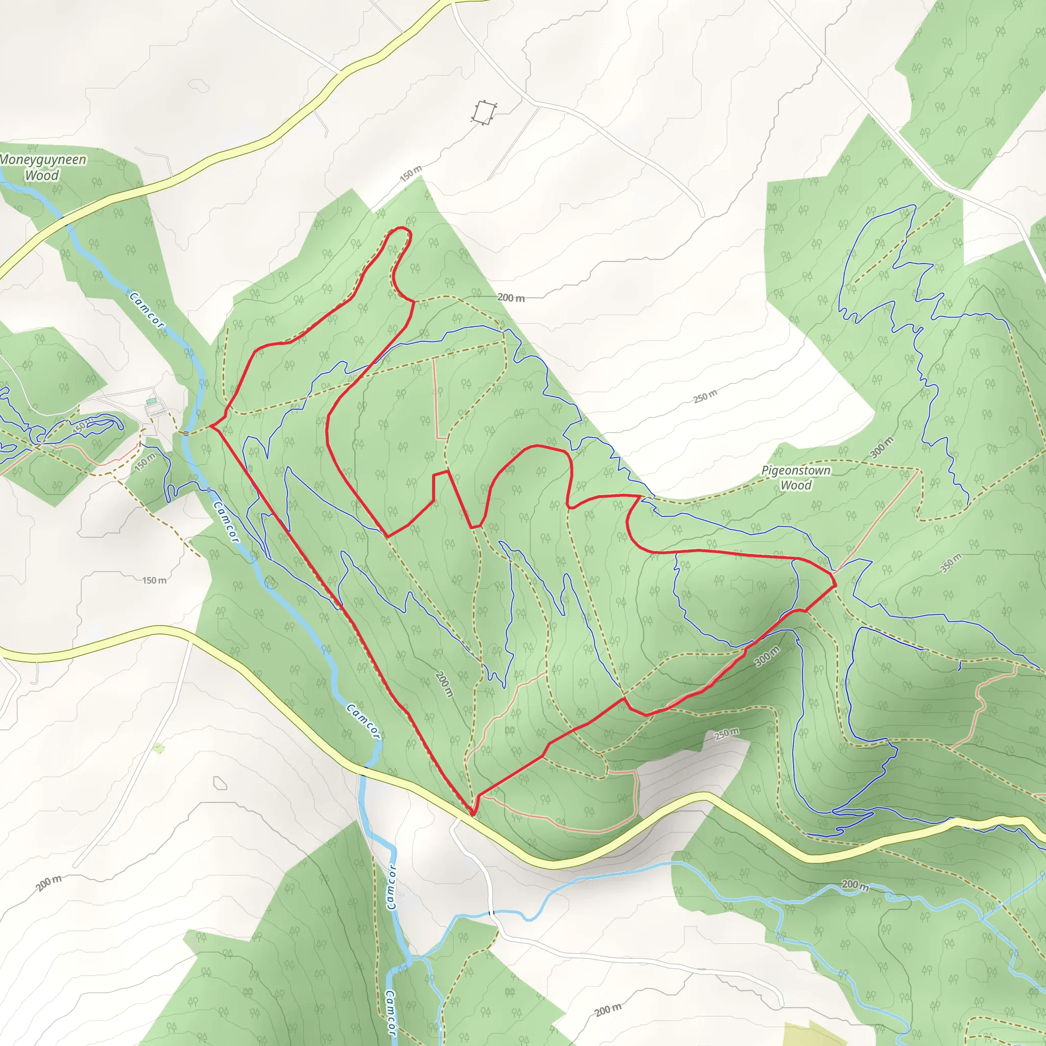 Kinnitty - Glinsk Castle Loop mobile static map